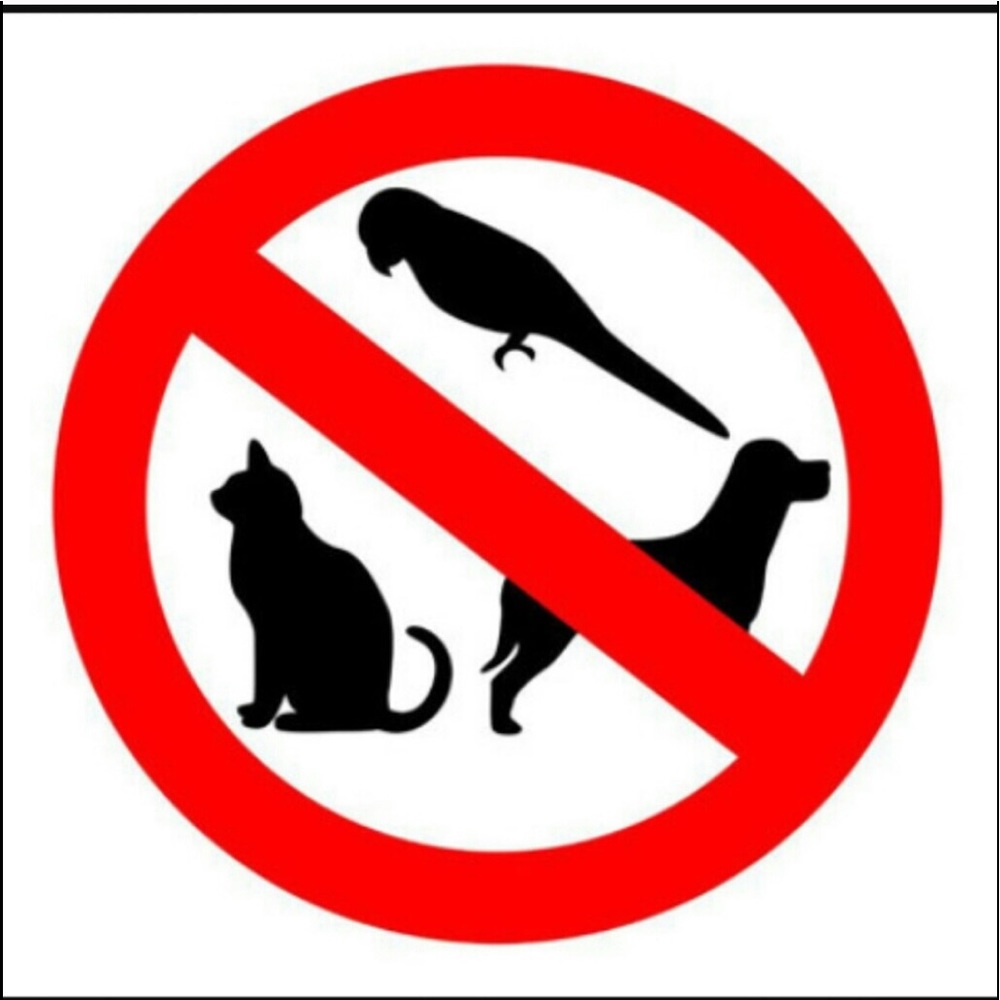 Pet free, Smoke free Home